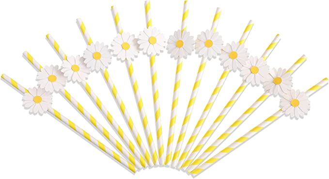 Daisy Paper Straws - Two Groovy Daisy Birthday Decorations Bridal Shower, Baby Shower Decor, Dais... | Amazon (US)
