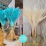 30 Stems White and Blue Mixture of Tabletop Dried Dyed Pampas Grass | Dried Flower Arrangements | Pa | Amazon (US)