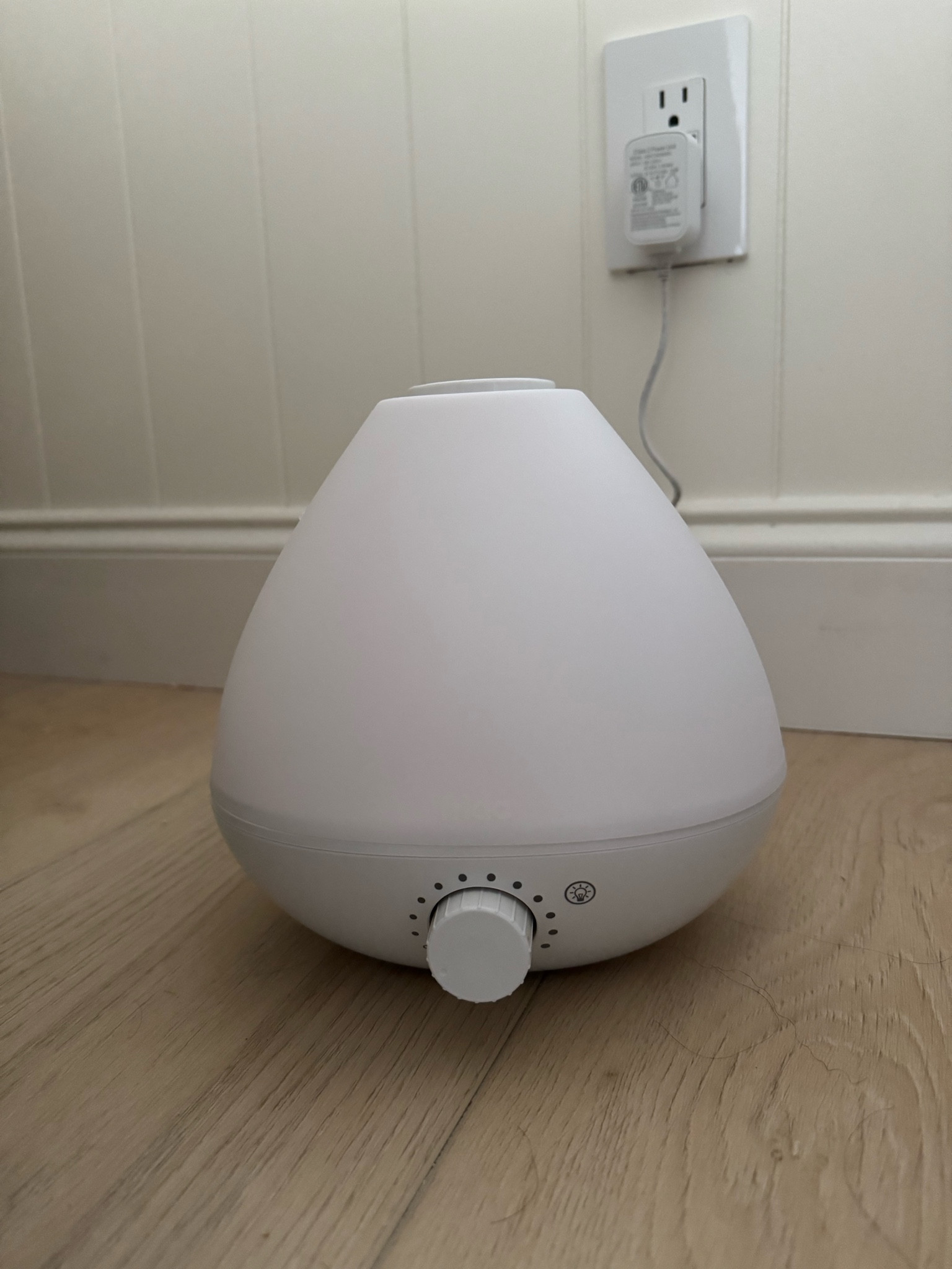 Baby humidifier 🩵 so cute and we put eucalyptus oil in whenever she is stuffy. It’s helped her dry skin and been a big help for when she’s congested.

#LTKKids #LTKBaby #LTKMostLoved