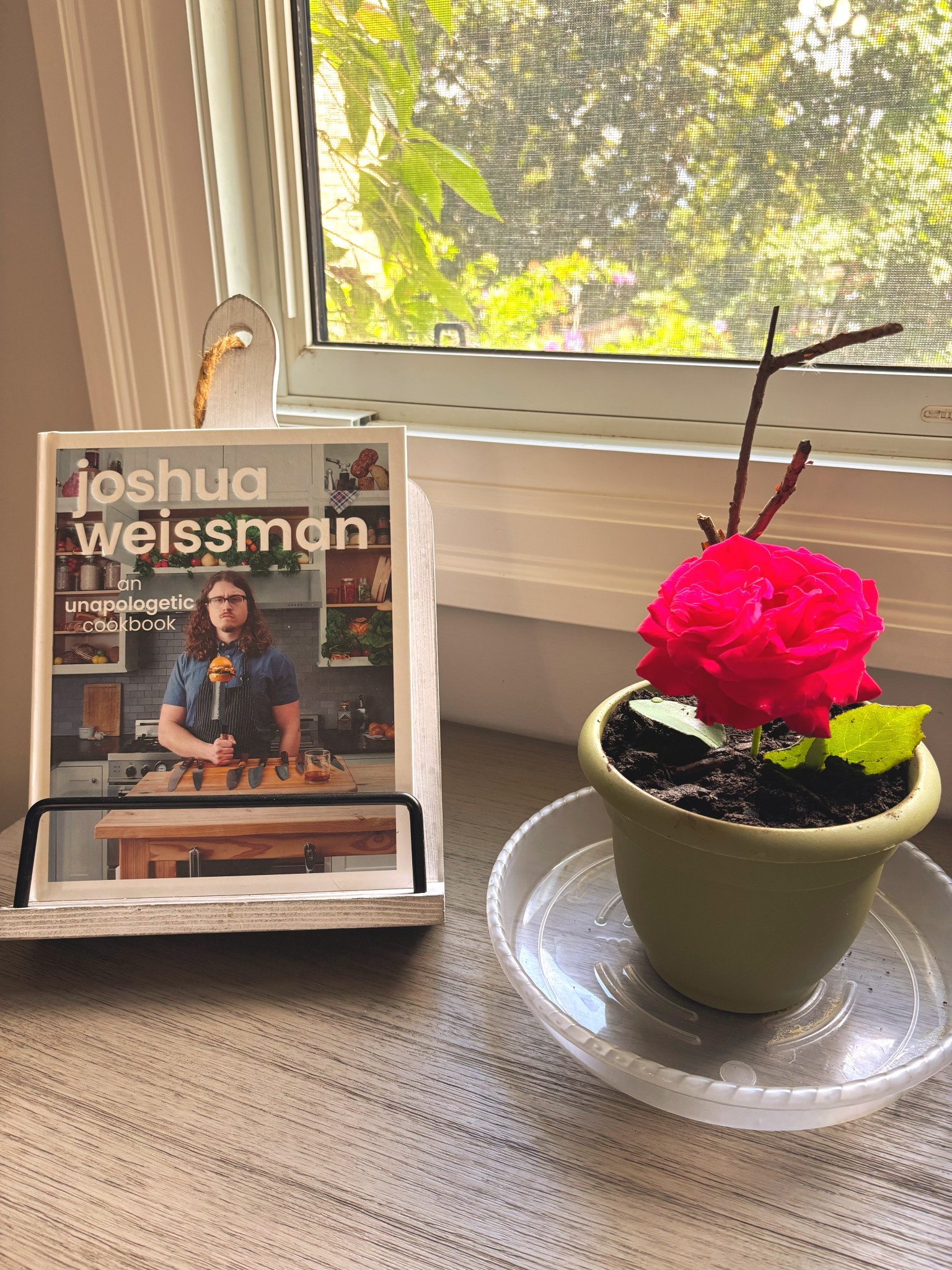 Summer faves: cookbooks and flowers 😍🌹

#LTKcasa #LTKsummer #LTKcanada