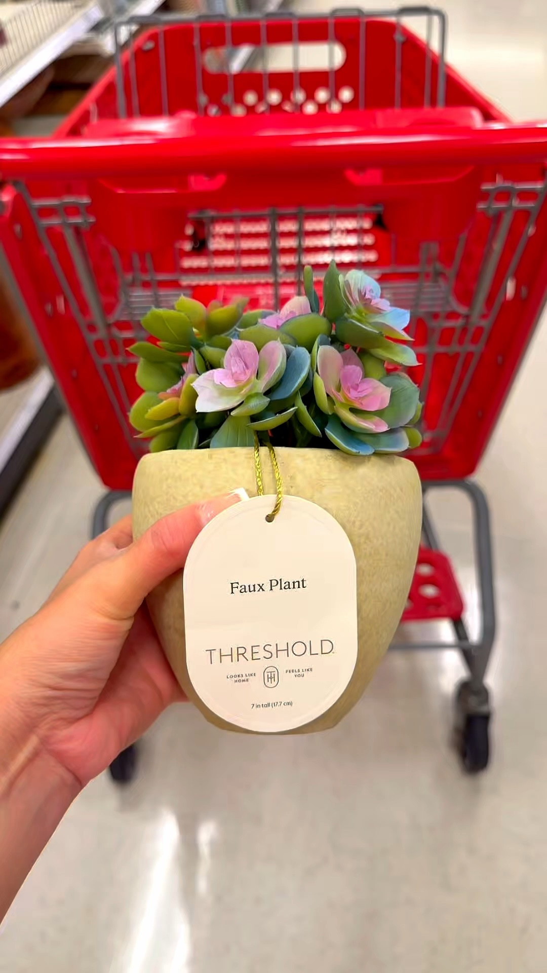Threshold garden decor at Target! 

#LTKSeasonal #LTKHome