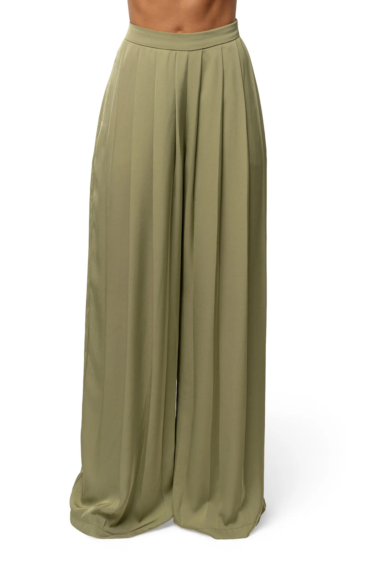 JLUXLABEL Clara Pleated Wide Leg Trousers | Nordstrom | Nordstrom