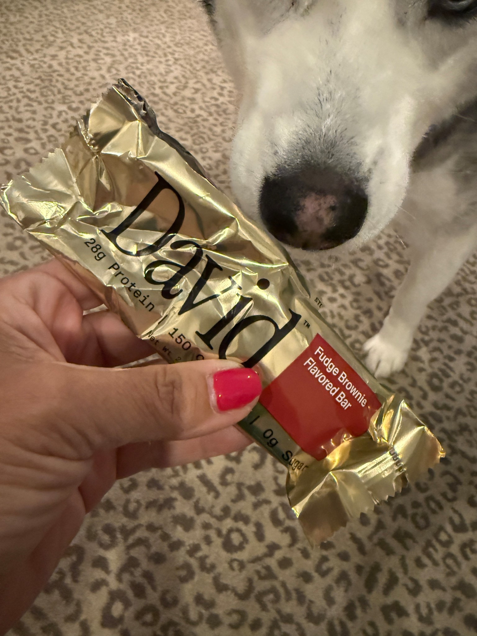 Even Dorothy wants some of this protein bar. My gym just started carrying these and there good 
28 grams of protein 

#LTKActive #LTKOver40 #LTKselfcare