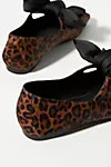 Jeffrey Campbell Leopard Bow Flats | Anthropologie (US)