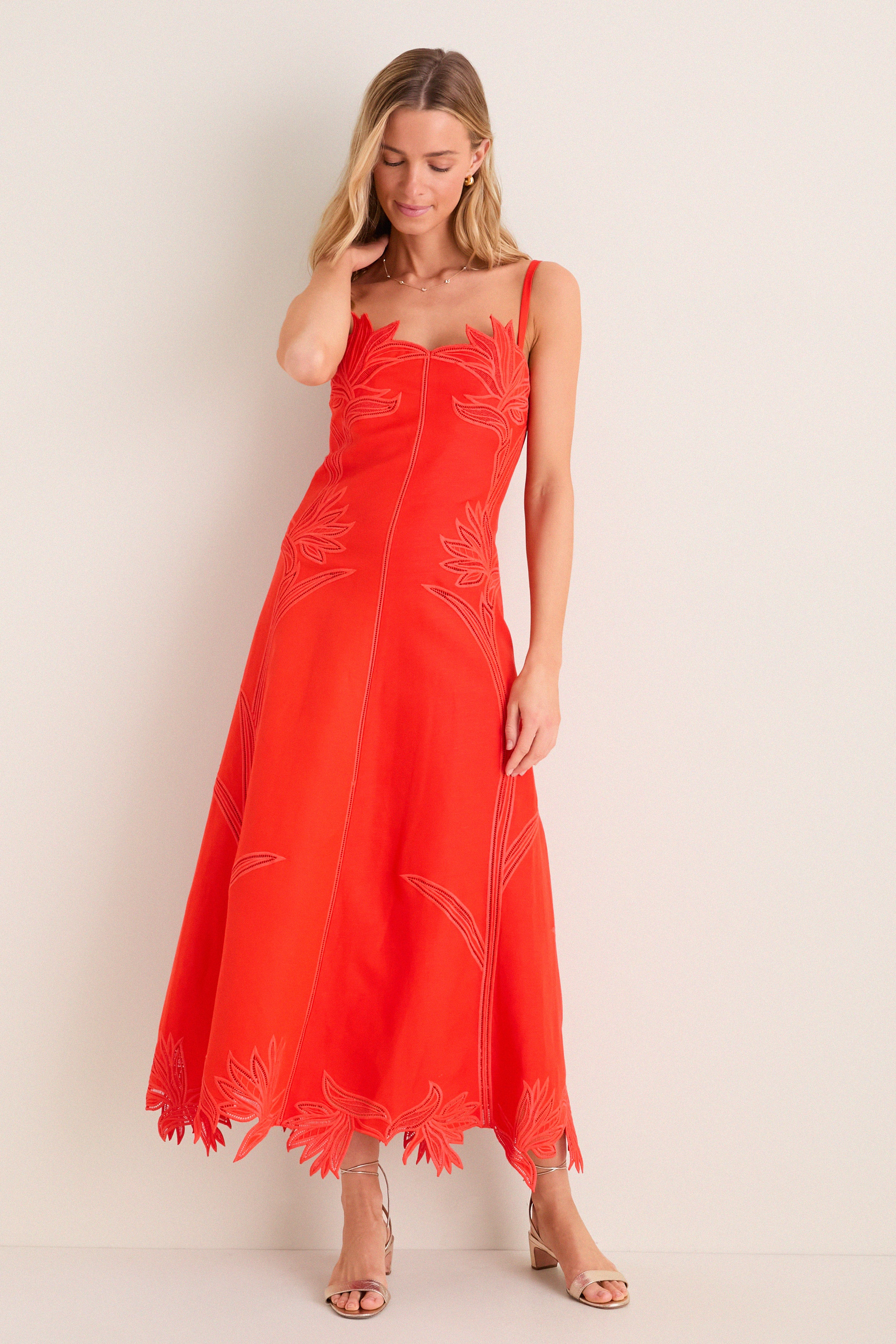 Lobster Ellery Embroidered Bustier Midi Dress | Tuckernuck (US)