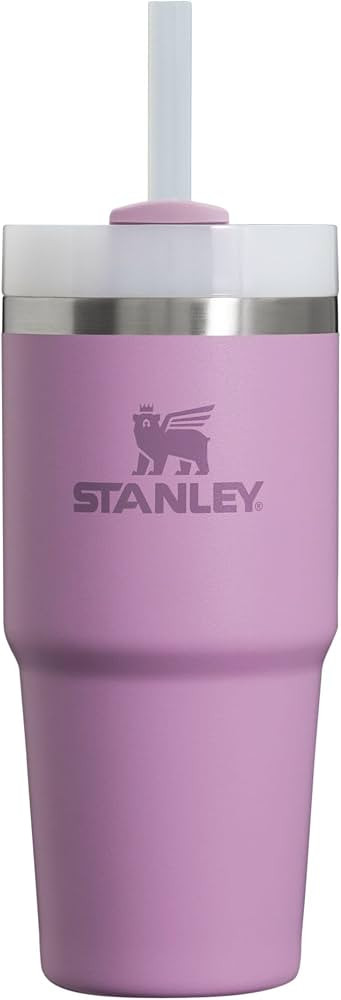 Stanley Quencher H2.0 Tumbler with Straw 14 oz | Twist On 3-Way Lid | Cupholder Compatible for Tr... | Amazon (US)