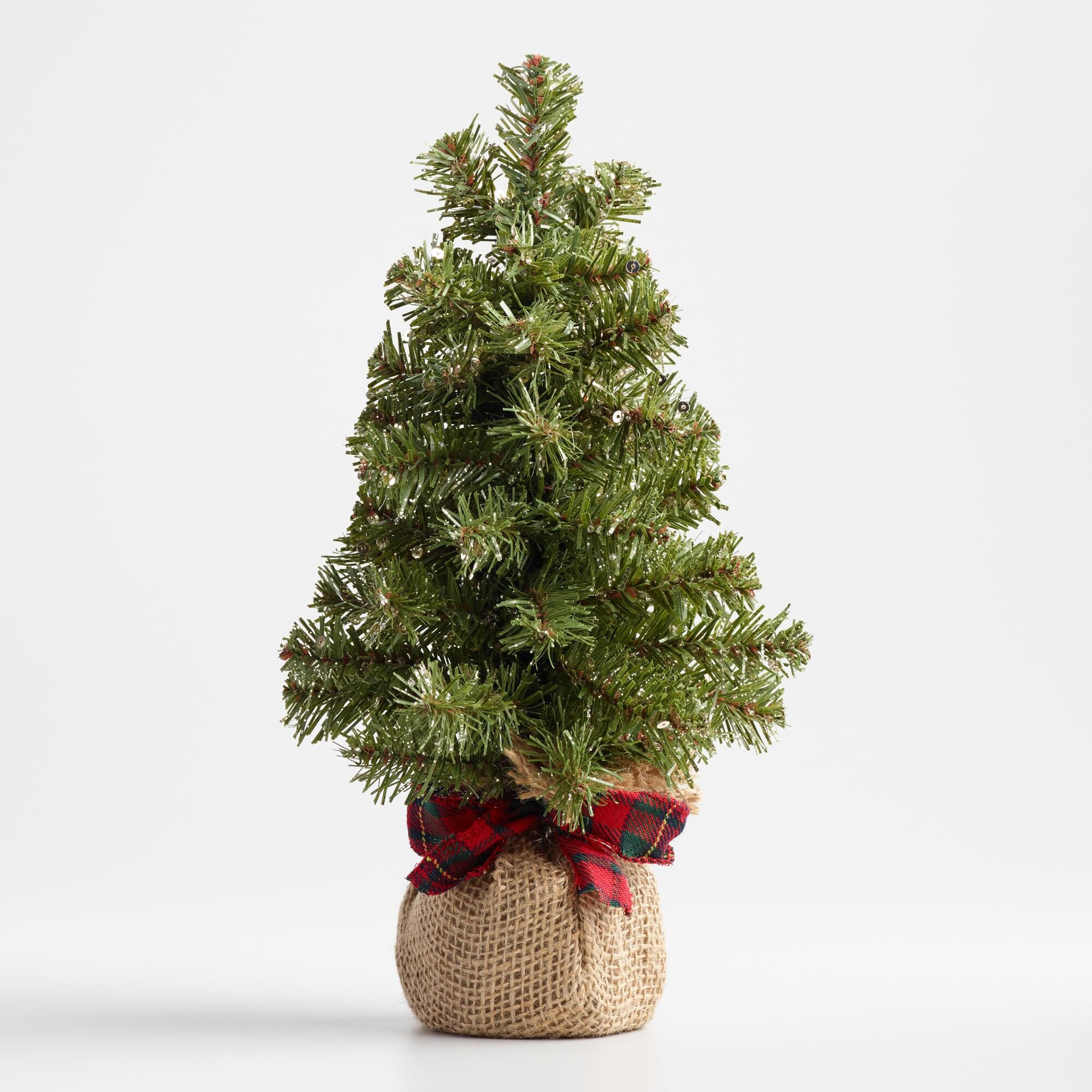 Burlap Wrapped Tree | World Market