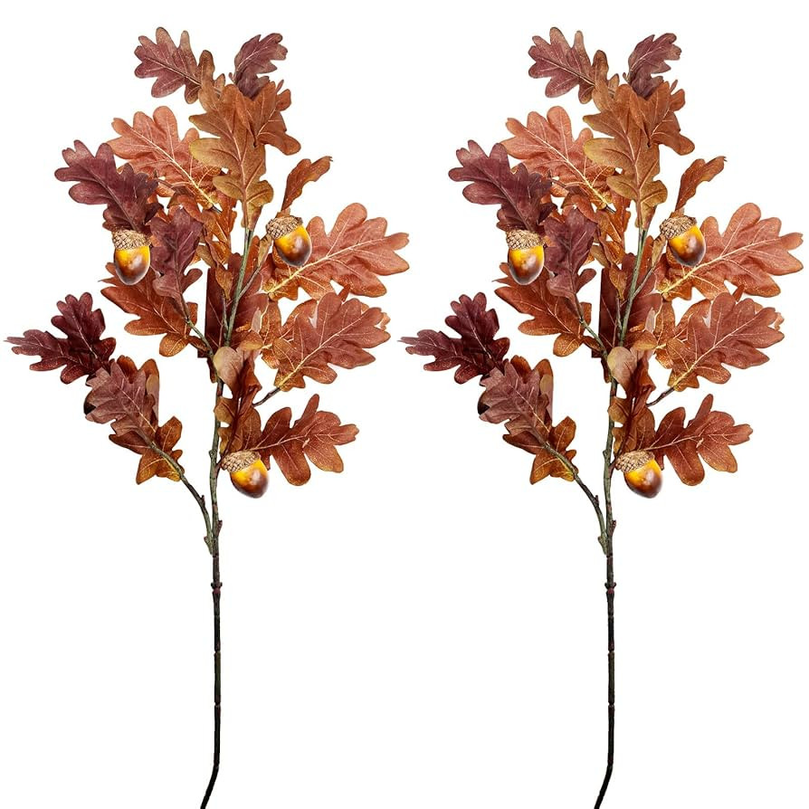 SNAIL GARDEN 2 Pcs 39.3in /100cm Faux Oak Fall Floral Stems with Acorns,Large Artificial Fall Ste... | Amazon (US)