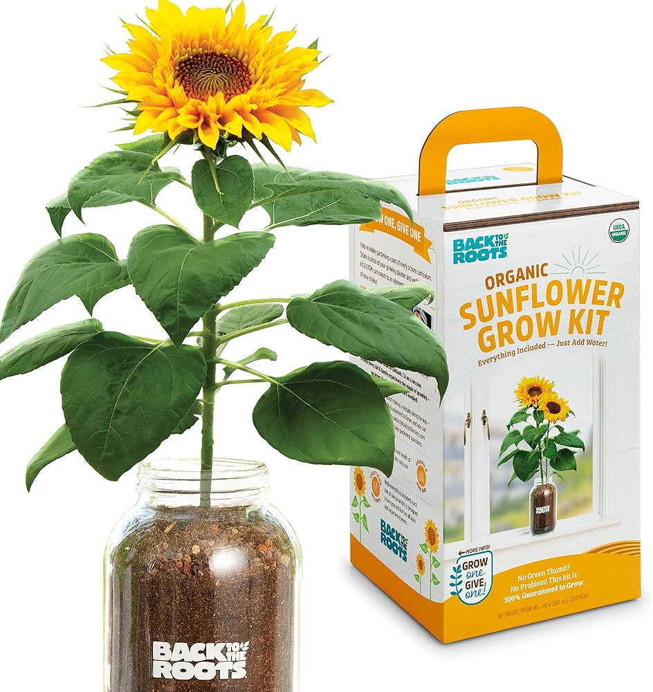 Back to the Roots Sunflower Organic Windowsill Planter Kit - Grows Year Round, Includes Everythin... | Amazon (US)