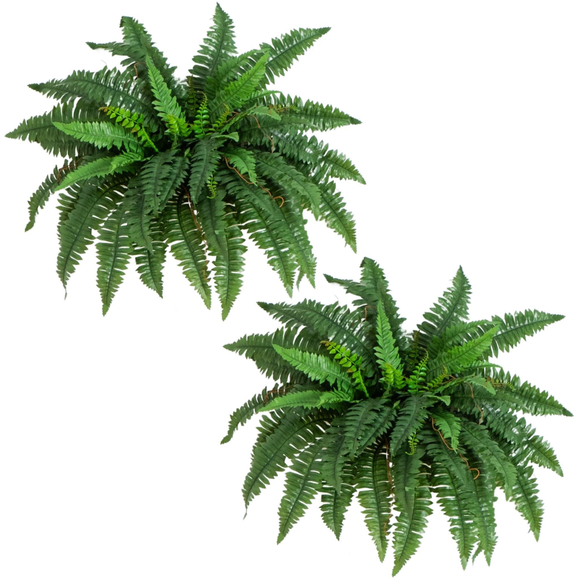 Nearly Natural 40IN Artificial Boston Fern Large Hanging Plant, Set of 2 Artificial Ferns that Lo... | Amazon (US)