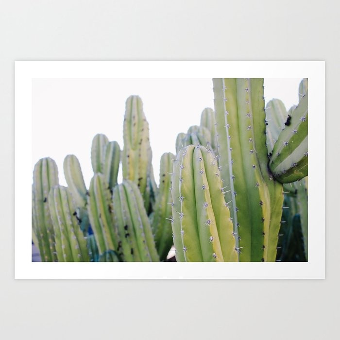 Palm Springs Cactus Art Print | Society6