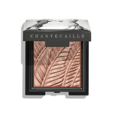 Chantecaille Luminescent Eyeshadow in Rhinoceros at Nordstrom | Nordstrom