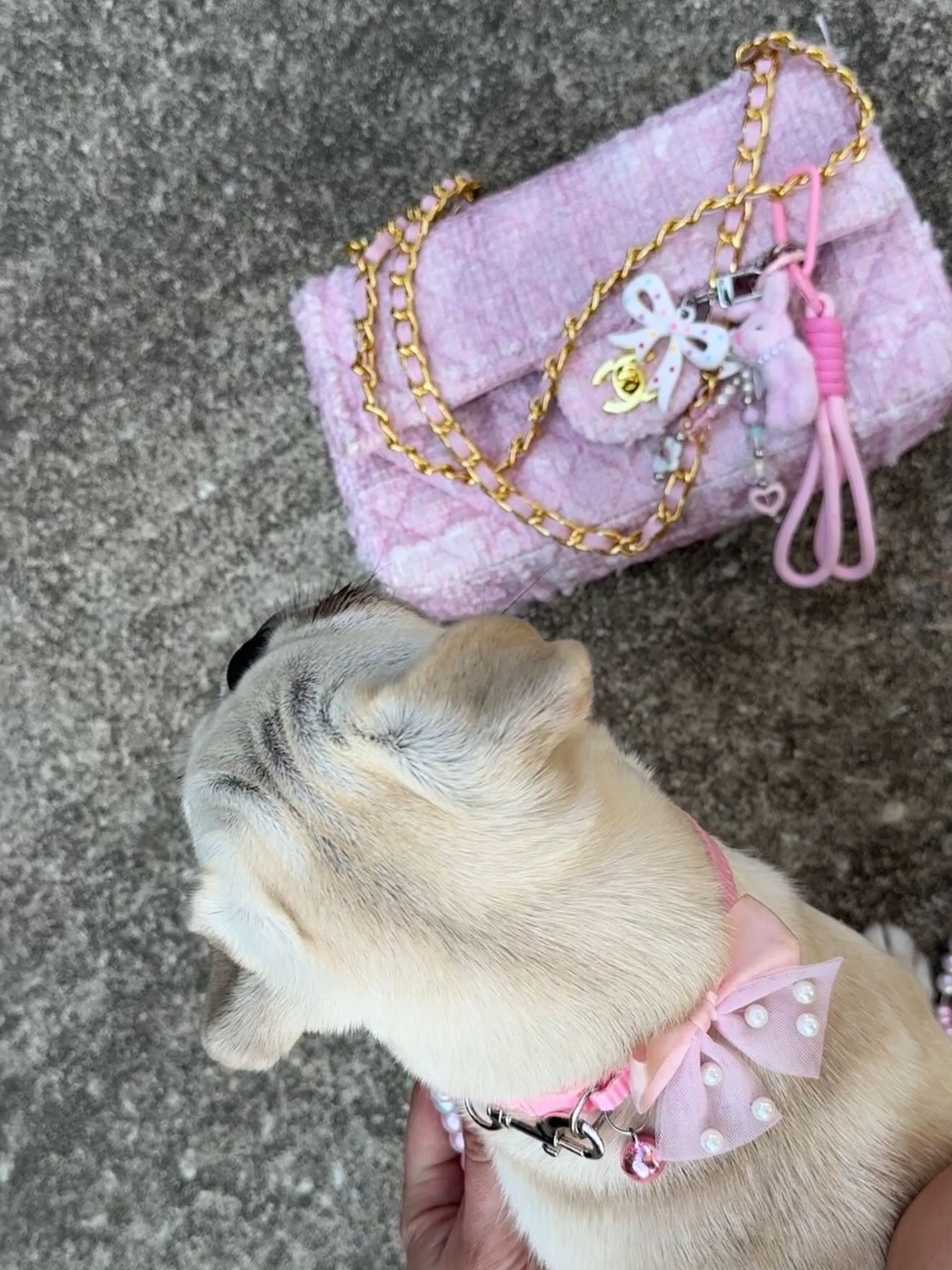 Bag linked here: https://shopmy.us/collections/4997588 
Eloise’s fav collar! 

#LTKSaleAlert #LTKBaby #LTKMothersDay