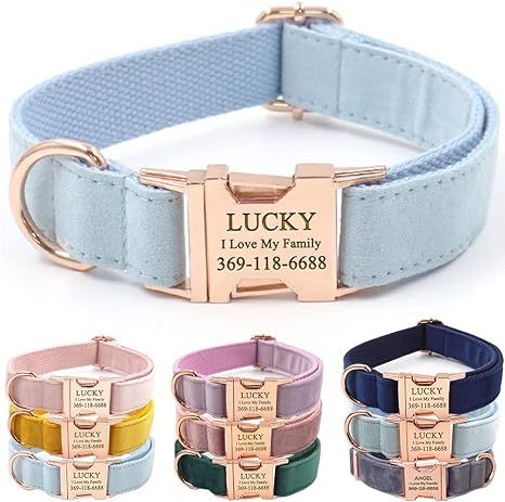 PETDURO Custom Dog Collar Personalized with Name Engraved Quick Release Rose Gold Metal Buckle fo... | Amazon (US)