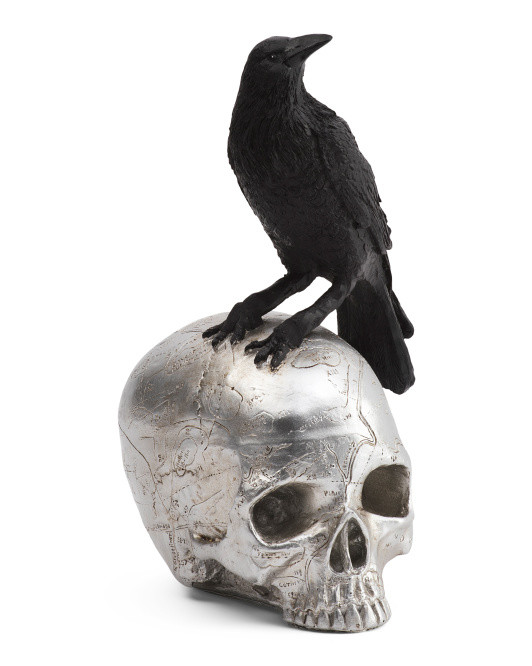 10.5in Crow On Skull Decor | Halloween | Marshalls | Marshalls