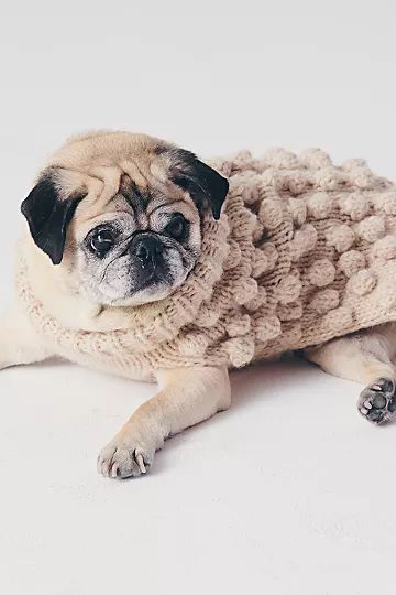 Bobble Knit Dog Sweater | Free People (Global - UK&FR Excluded)