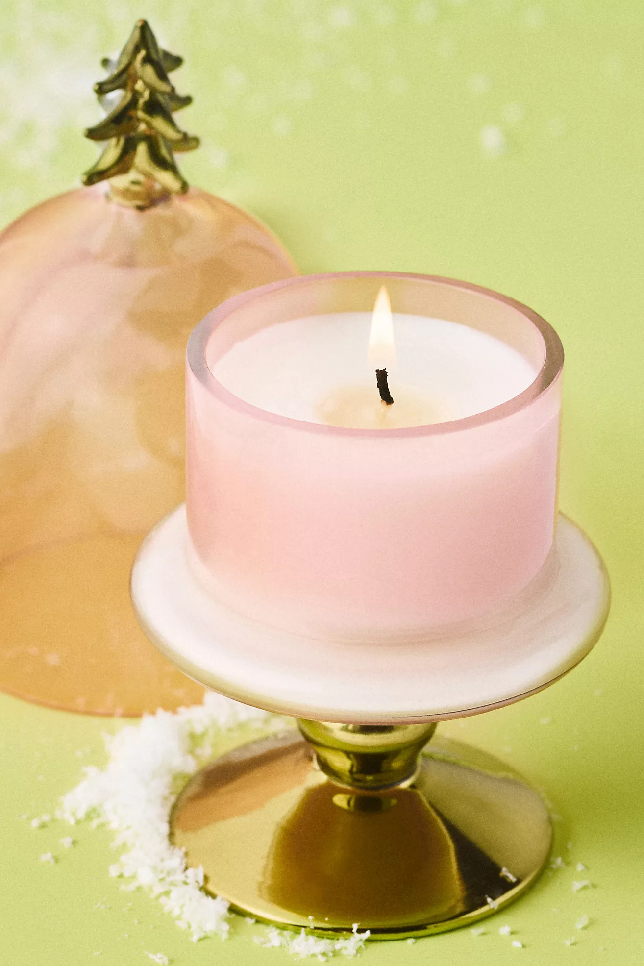 Christmas Tree Woody Crisp Cedar Glass Cloche Candle | Anthropologie (US)