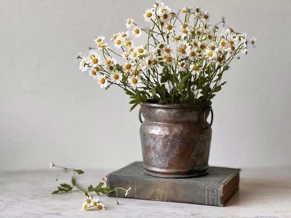 Copper Bucket Planter VINTAGE - Etsy | Etsy (US)