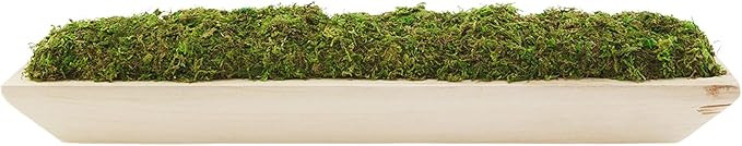 Mud Pie Preserved Moss Paulownia Tray, Natural, 5 3/4" x 25 3/4" | Amazon (US)
