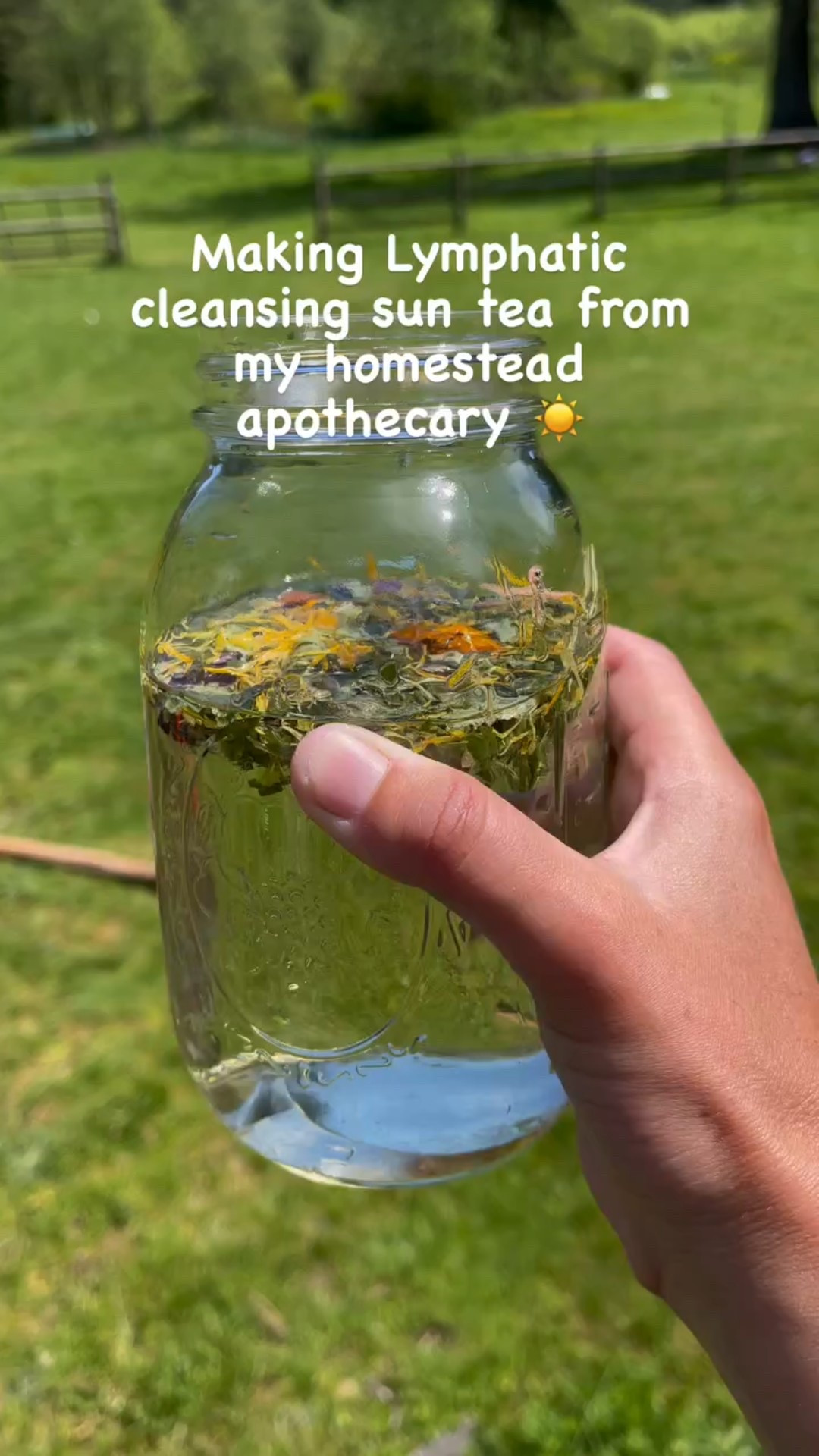 Sunny Days and Sun Tea ☀️

#LTKSummerEdit #LTKActive #LTKHome