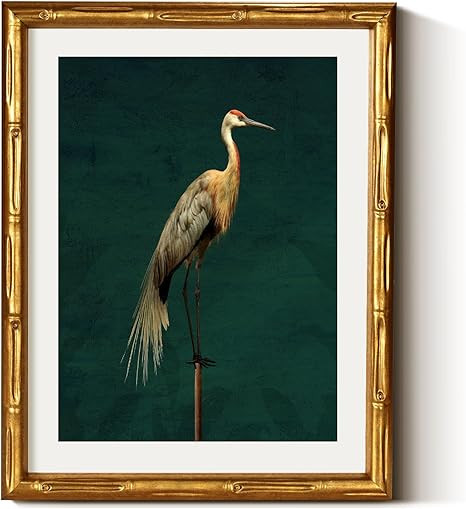 VIYYIEA Bamboo Detail Design Gold Framed Wall Art for Living Room,Crane Canvas Wall Art, Animals ... | Amazon (US)