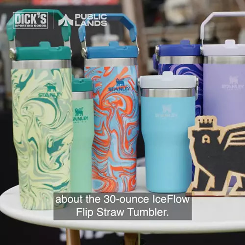 Stanley 30 Oz. IceFlow Tumbler with Flip Straw | Dick's Sporting Goods