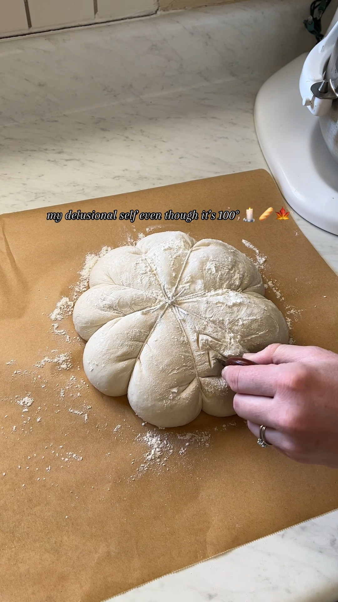 pumpkin shaped sourdough !!




#LTKFindsUnder100 #LTKHome #LTKSeasonal