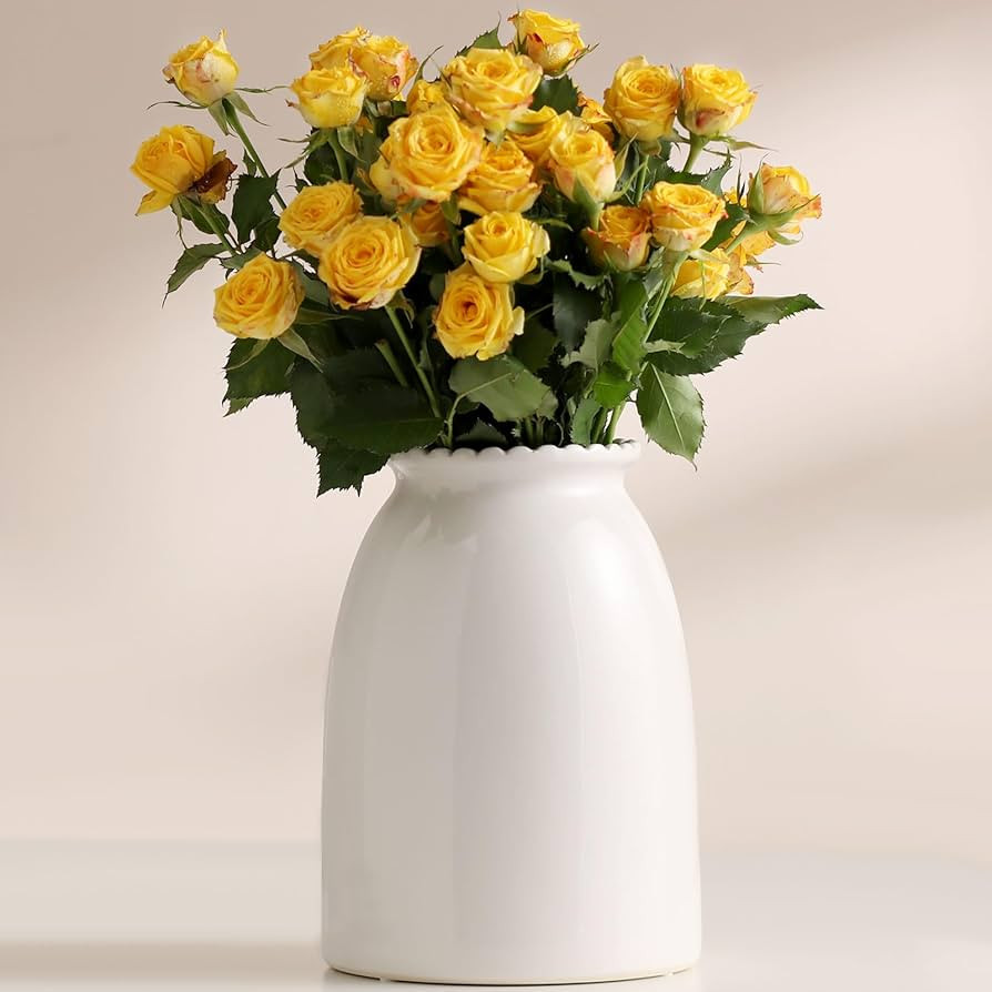 hjn White Flower Vase- Ceramic Vase for Flowers, Modern Vases for Living Room/Home Decor Accents/... | Amazon (US)