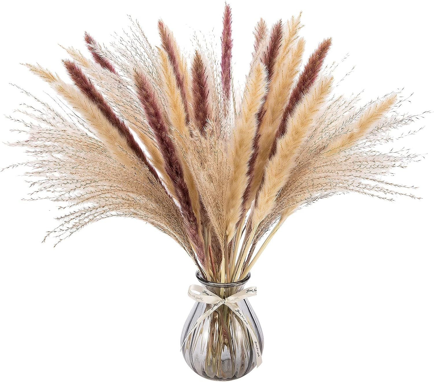 70PCS Dried Pampas Grass for Flower Arrangements Home Seasonal Decor Wedding Party Favors - Assor... | Amazon (US)