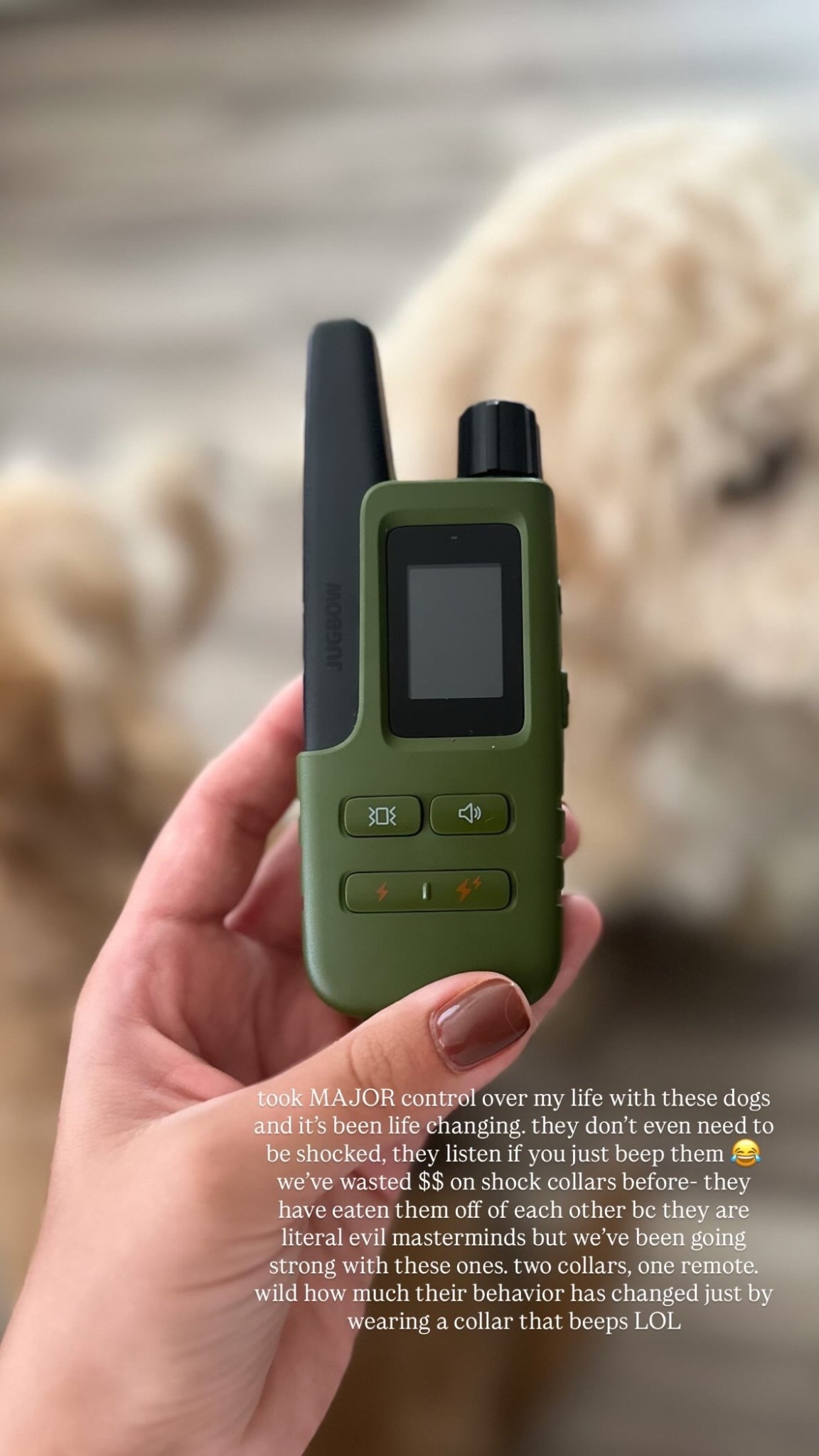 Affordable dog bark collars! 

#LTKSaleAlert #LTKFamily