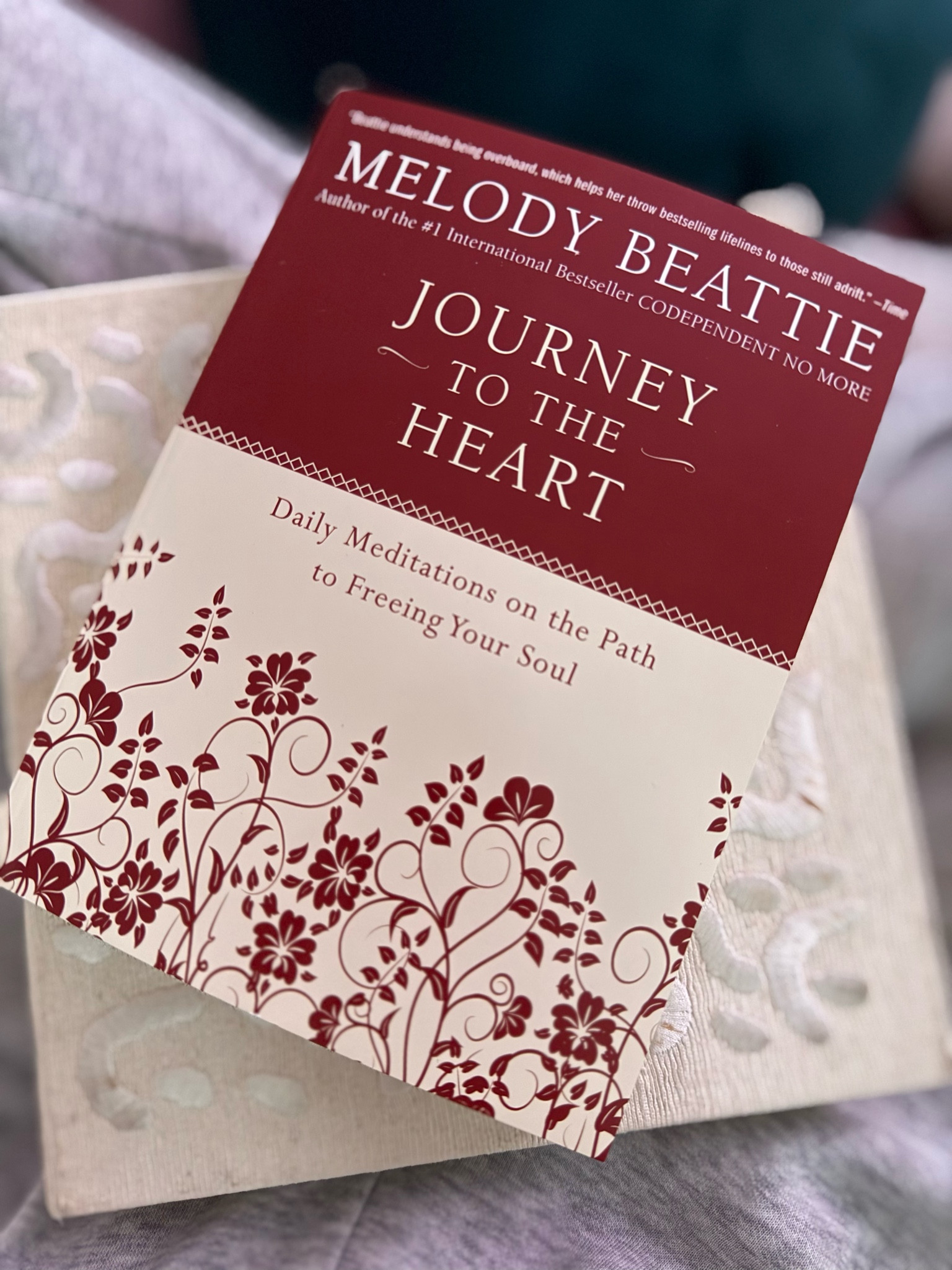 This was recommended by a friend and it’s such a beautiful way to start each new day, beginning on the first of the New Year. The meditations are short, yet powerful and relatable. This is perfect as a gift or to help you stay focused on your intentions for the year. 🧘🏻‍♀️🤍