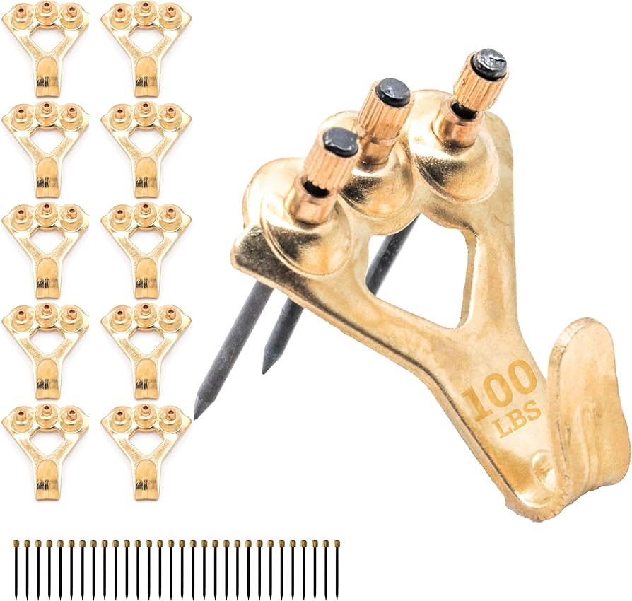 100 lb Picture Hangers, 10 Pack with Nails - Picture Hanging Hooks, Picture Hanging Hardware, Fra... | Amazon (US)
