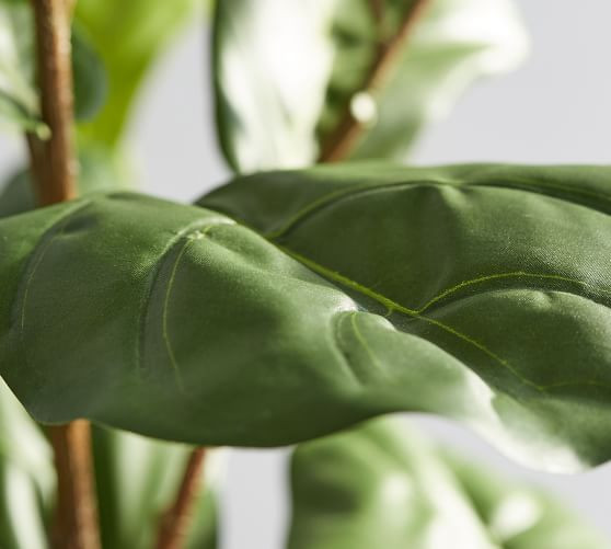 Faux Potted Fiddle Leaf Fig Trees | Pottery Barn (US)
