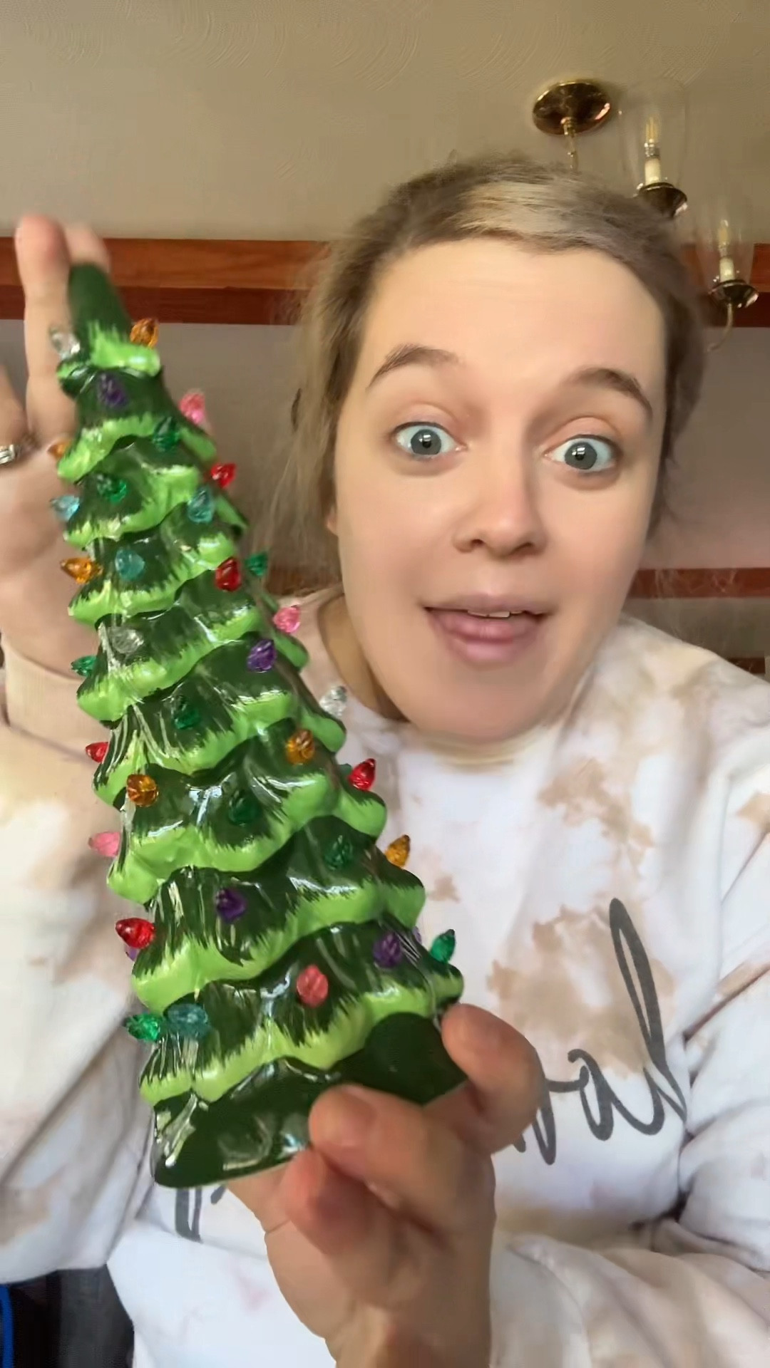 These are the best find of Christmas! I’m telling you! 
They WILL sell out! Over and over so stay on the lookout if you see this after they sell out!

Set of 3 ceramic trees! Different sizes!
Battery operated, with a timer function!
Colored or warm white light options!
I can’t wait to decorate with these!

#LTKFindsUnder100 #LTKSeasonal #LTKHome