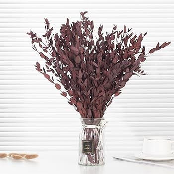 Dried Eucalyptus Leaves Preserved Greenery Stems, 8-14 PCS Eucalyptus Garland Branches, 4 OZ Natu... | Amazon (US)