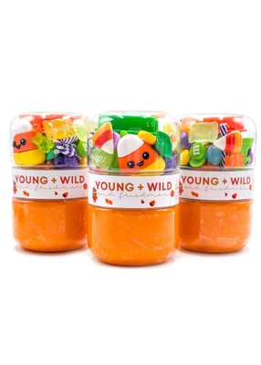 Young + Wild and Friedman Trick or Treat Grab & Go Dough Jar - Trick or Treat Grab & Go Dough Jar | Shop.app