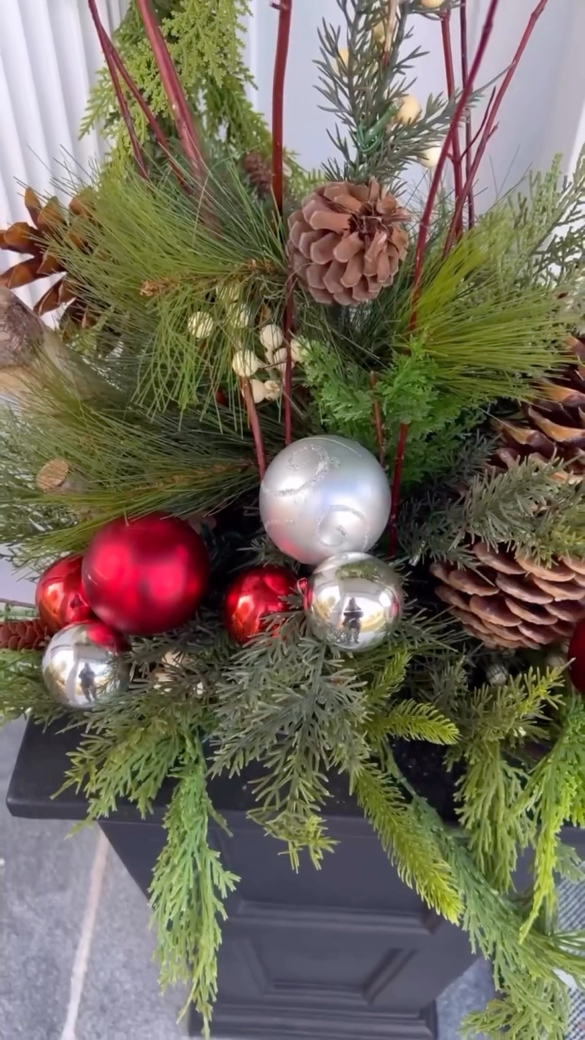 ✨ Holiday magic in minutes — let’s make that porch Pinterest-perfect! ✨
Just drop these holiday planter inserts into your favorite pots and boom — instant festive glow-up 🌲
They’re stunning solo or style them up with birch branches, ornaments, or twinkle lights for that designer-worthy holiday vibe.
🎁 On sale today only — grab yours before they’re gone!
#holidaydecor #porchdecor #holidayaesthetic #festivehome #easydecor #frontporchgoals #christmasstyle #holidayhack #porchmakeover #christmashome #christmasdecor #christmasporch

#LTKSeasonal #LTKHoliday #LTKHome