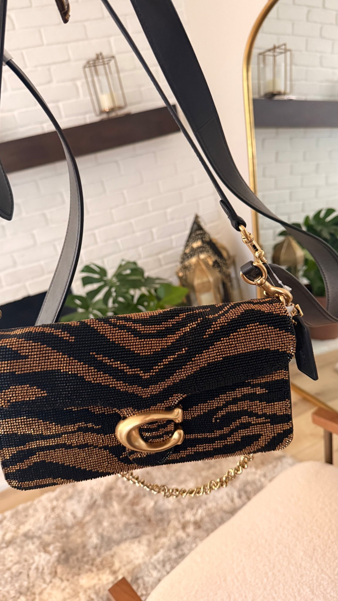 Coach with this gorgeous Tiger tabby!! 

#LTKgrwm #LTKdayinmylife #LTKootd