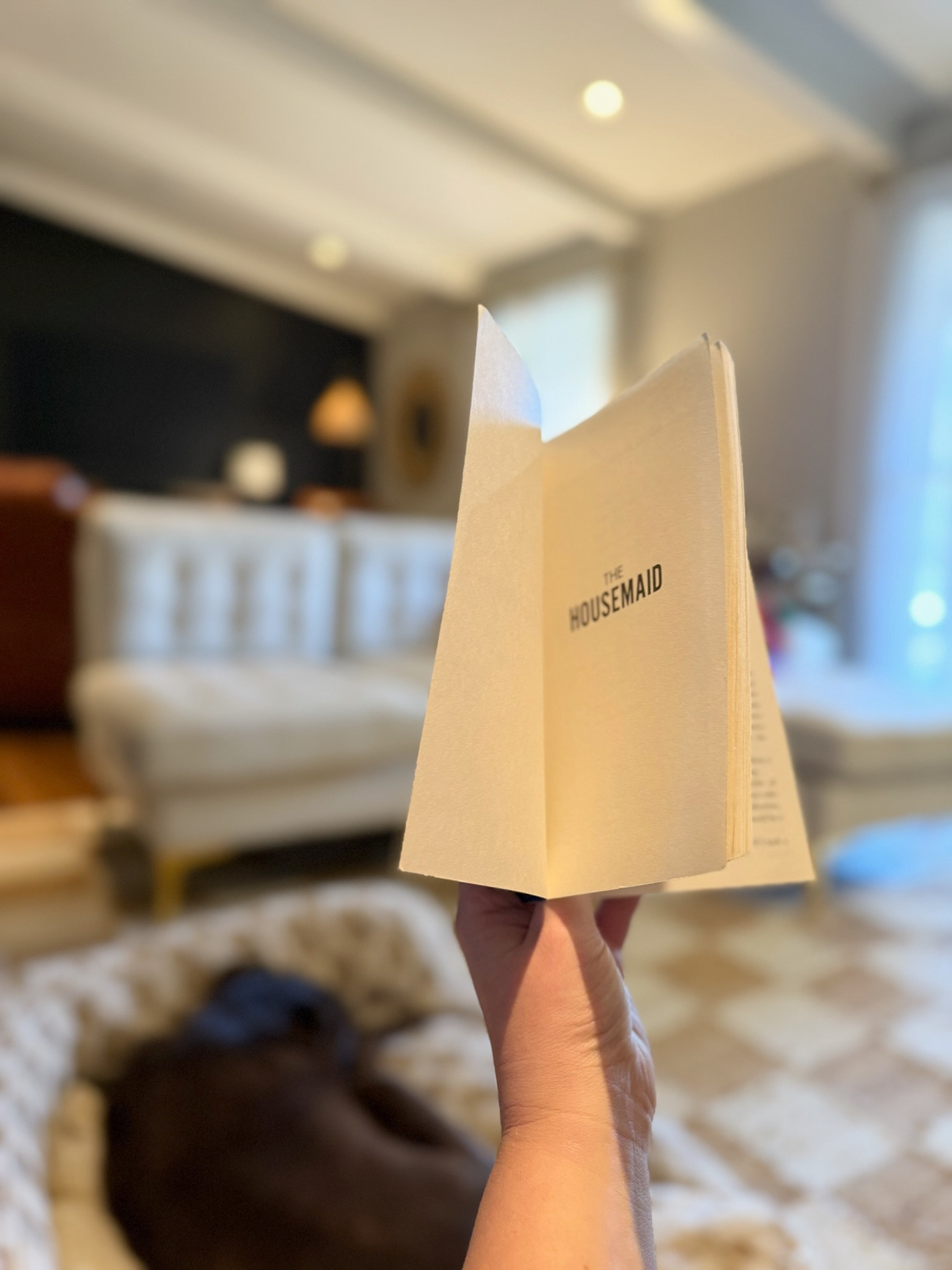 I finally read The Housemaid, based off of all your recommendations!! You guys… it is SO good, it had me on the edge of my seat all day! I read it start to finish in about 6 hours. I NEVER do that!!! Cannot way to read more of this author! 

#LTKSeasonal
