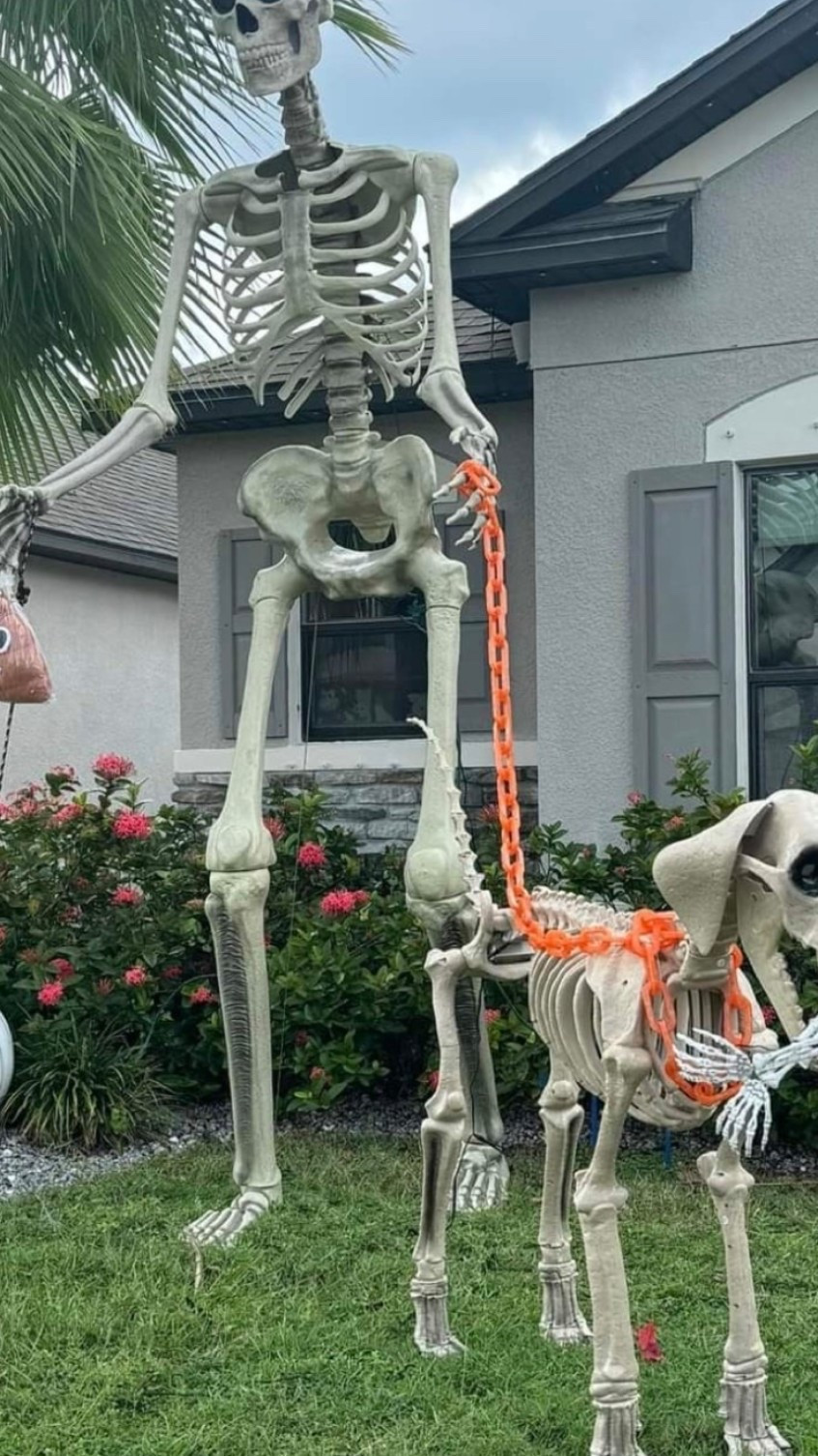 Giant skeleton back in stock
12 foot skeleton
Halloween ideas 
Fall decor

#LTKhome
