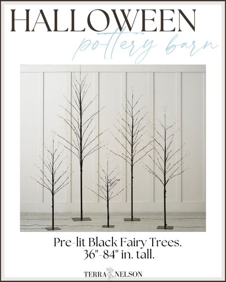 These black pre-lit Halloween fairy trees are the perfect accent for your space! Comes in 5 different sizes so you’ve got lots of options! 

#LTKsalealert #LTKunder50 #LTKSeasonal