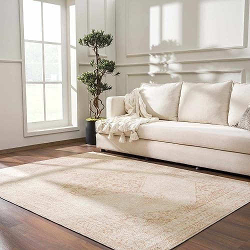 Hauteloom Downtown Living Room, Bedroom Persian Oriental Area Rug - Vintage Bohemian Boho Chic - ... | Amazon (US)
