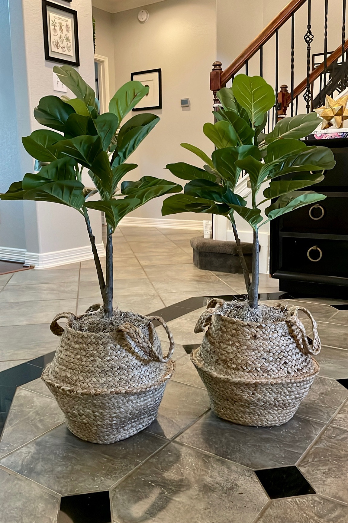 Faux fiddle leaf fig trees 3’ tall jute basket

#LTKFind #LTKhome #LTKunder100