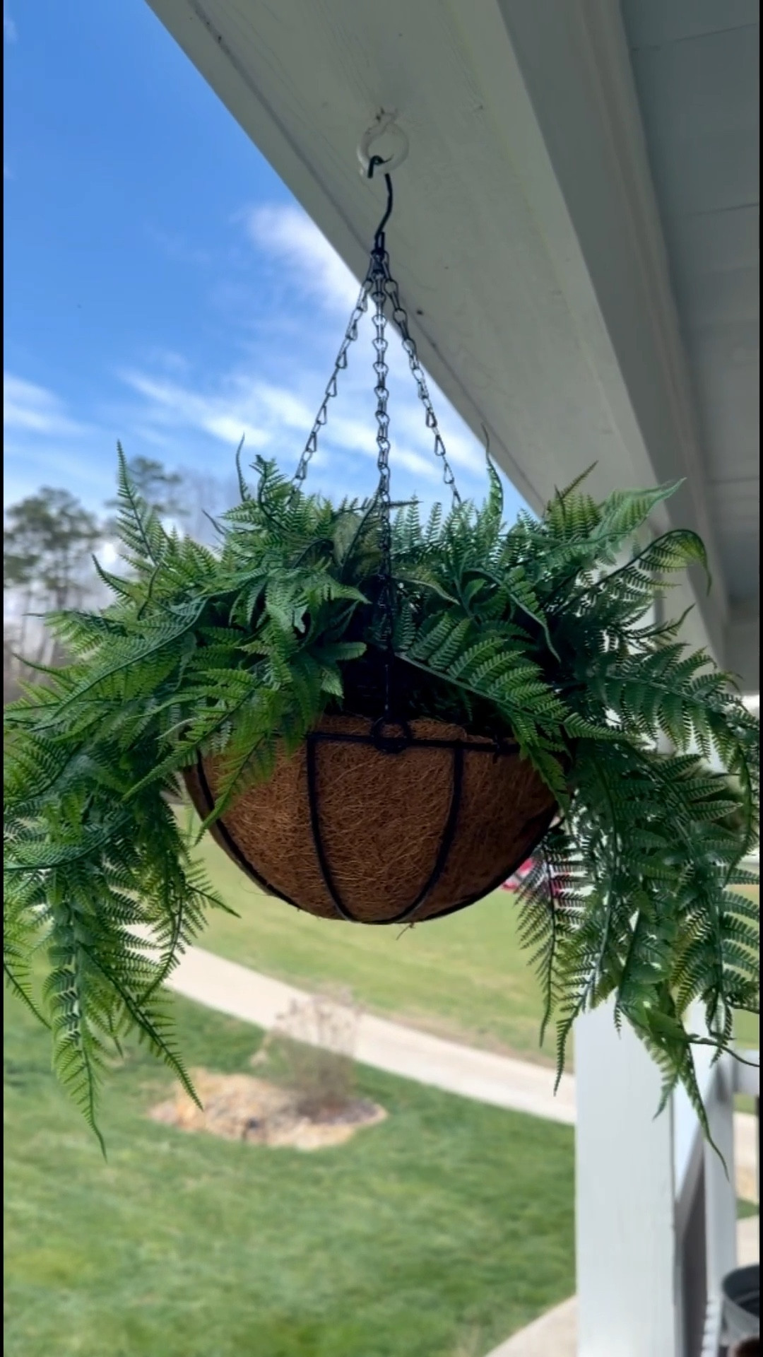 POV: You love hanging ferns, but you’re too short to water them! 🤣 These faux ferns look so realistic and perfect on the porch! Plus, they are a great price too!

#LTKPetite #LTKSeasonal #LTKHome