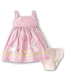 Gymboree Baby Girls' One Size Embroidered Sleeveless Dress | Amazon (US)