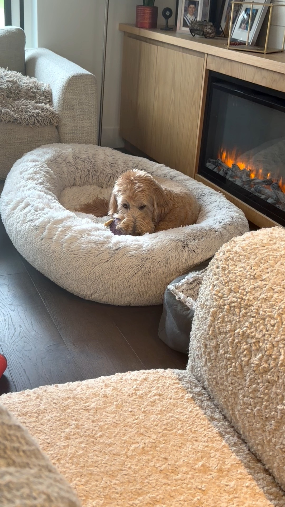 When the comfort is next level!

#LTKfamily #LTKcanada