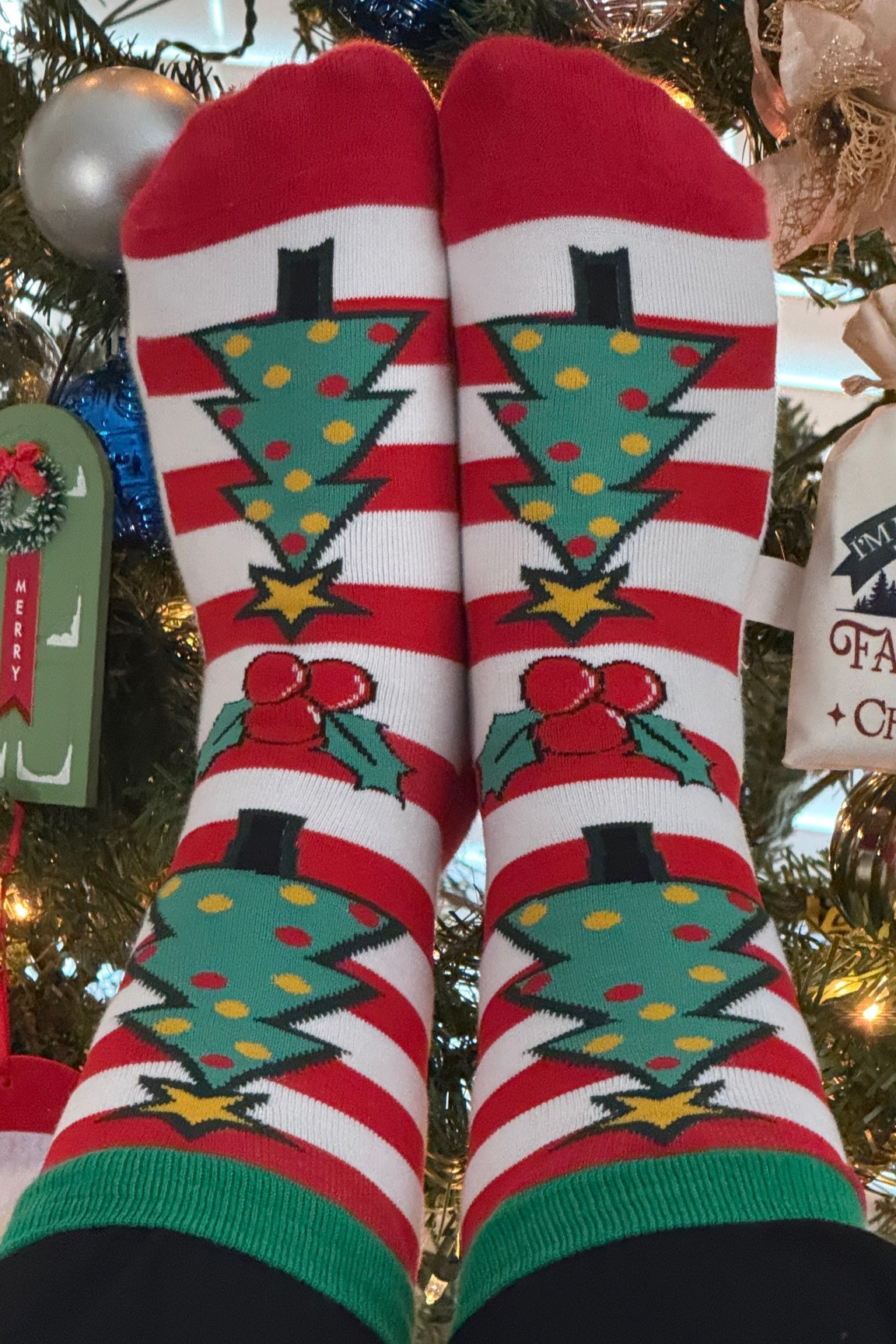 Christmas socks #holidayoutfit #christmas #christmastree #socks #meeryandbright #kneesocks

#LTKHoliday #LTKFindsUnder50 #LTKSeasonal