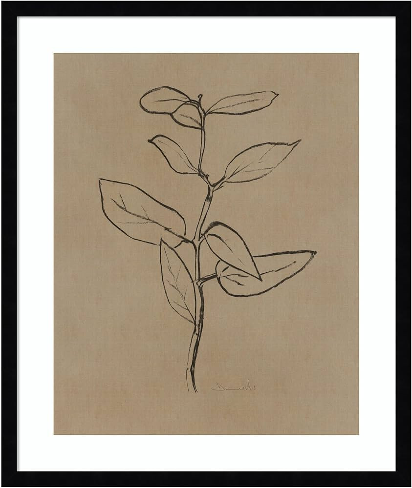 Amanti Art Framed Wall Art Print 25x21 Eucalyptus Sapling by Dan Hobday, Nature Wall Art, Modern ... | Amazon (US)
