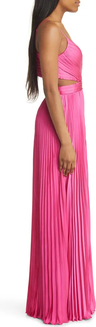 Got the Glam Pleated Gown | Nordstrom