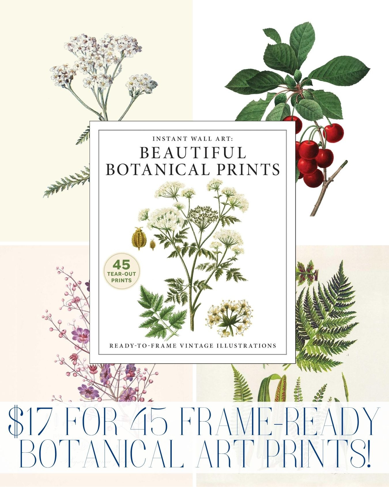 $17 for 45 frame-ready botanical art prints on Amazon! 

 #LTKHome